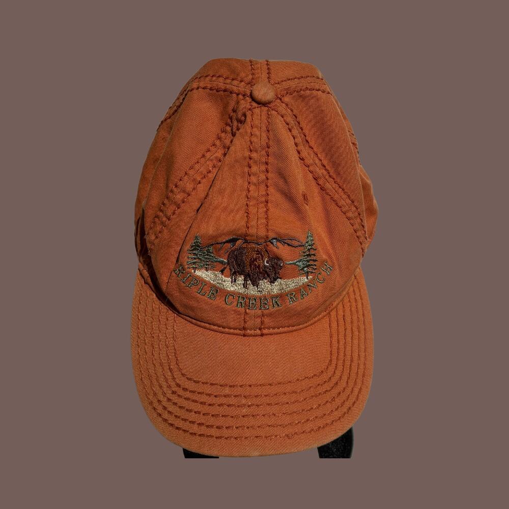 Outray Bison Hat | Brown Embroidered | OSFM | Vintage